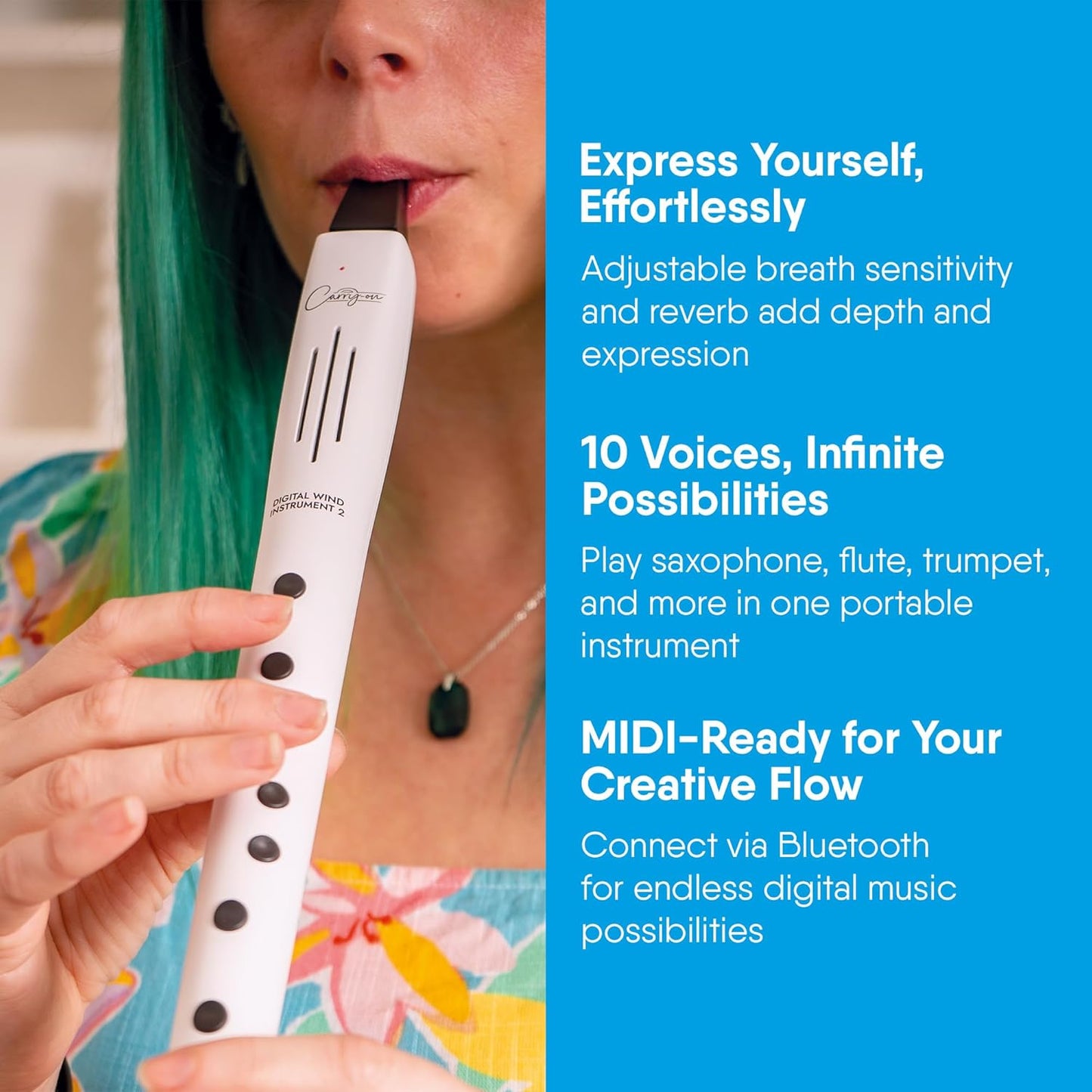 Carry On Digital Wind Instrument 2