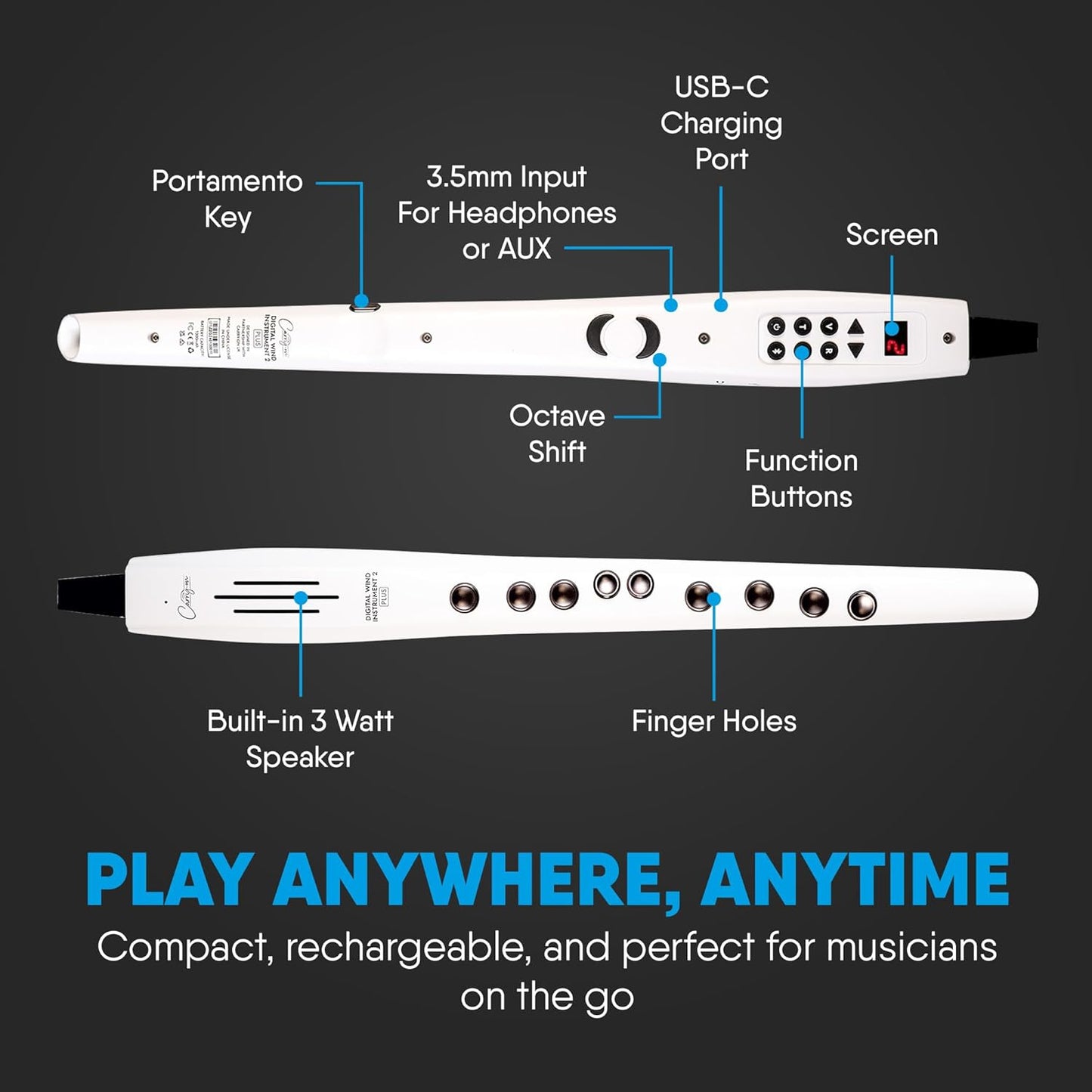 Carry On Digital Wind Instrument 2 PLUS