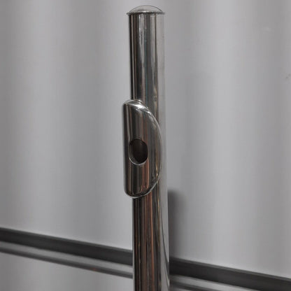 Buffet Crampon Flute