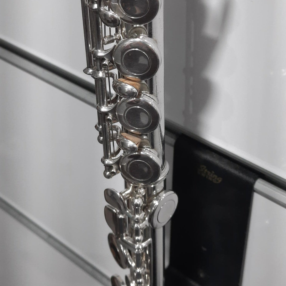 Trevor James 10X Flute