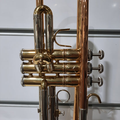 Pistons on Jean Baptiste Bb Trumpet
