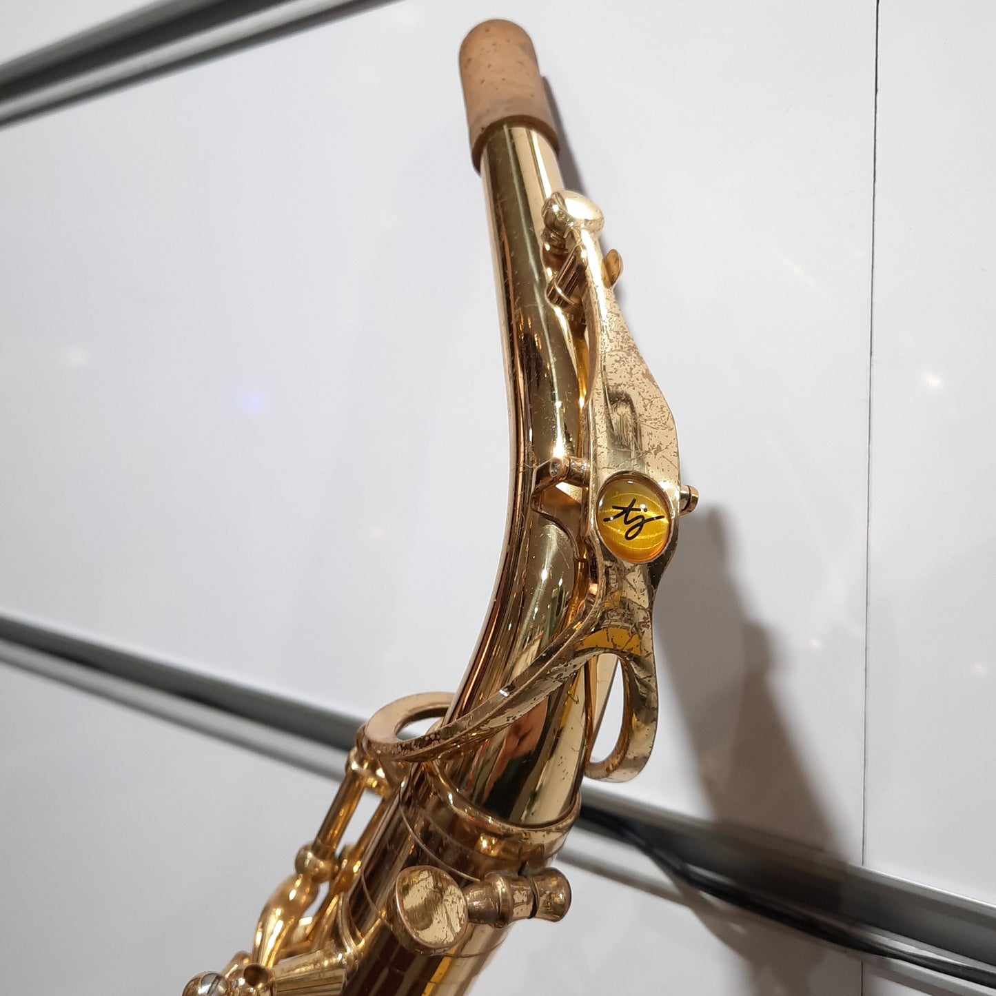 Trevor James Alphasax Alto Saxophone