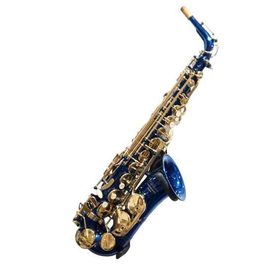 Elkhart Blue Alto Saxophone 100ASBL
