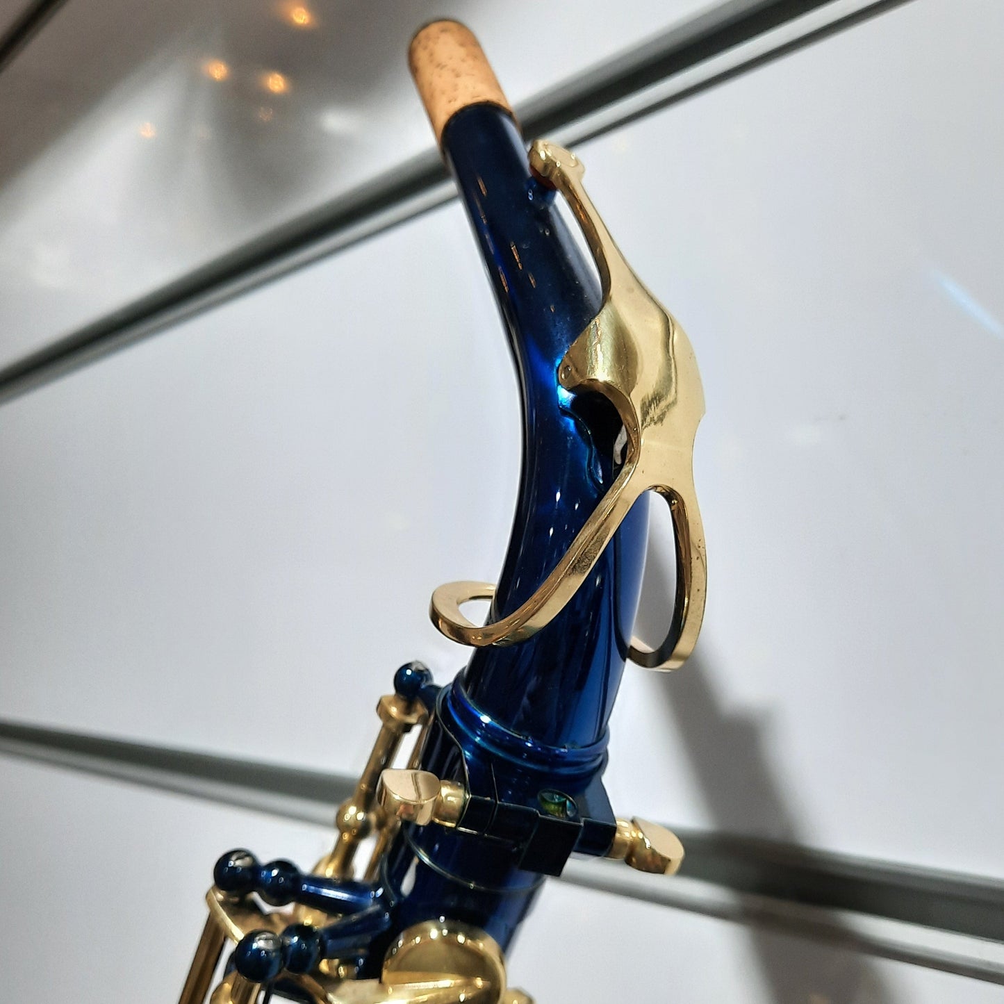 Elkhart Blue Alto Saxophone 100ASBL