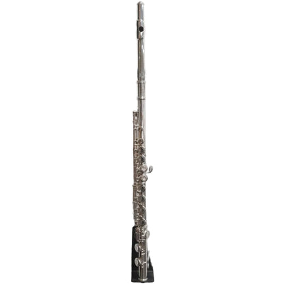 Trevor James 10X Flute