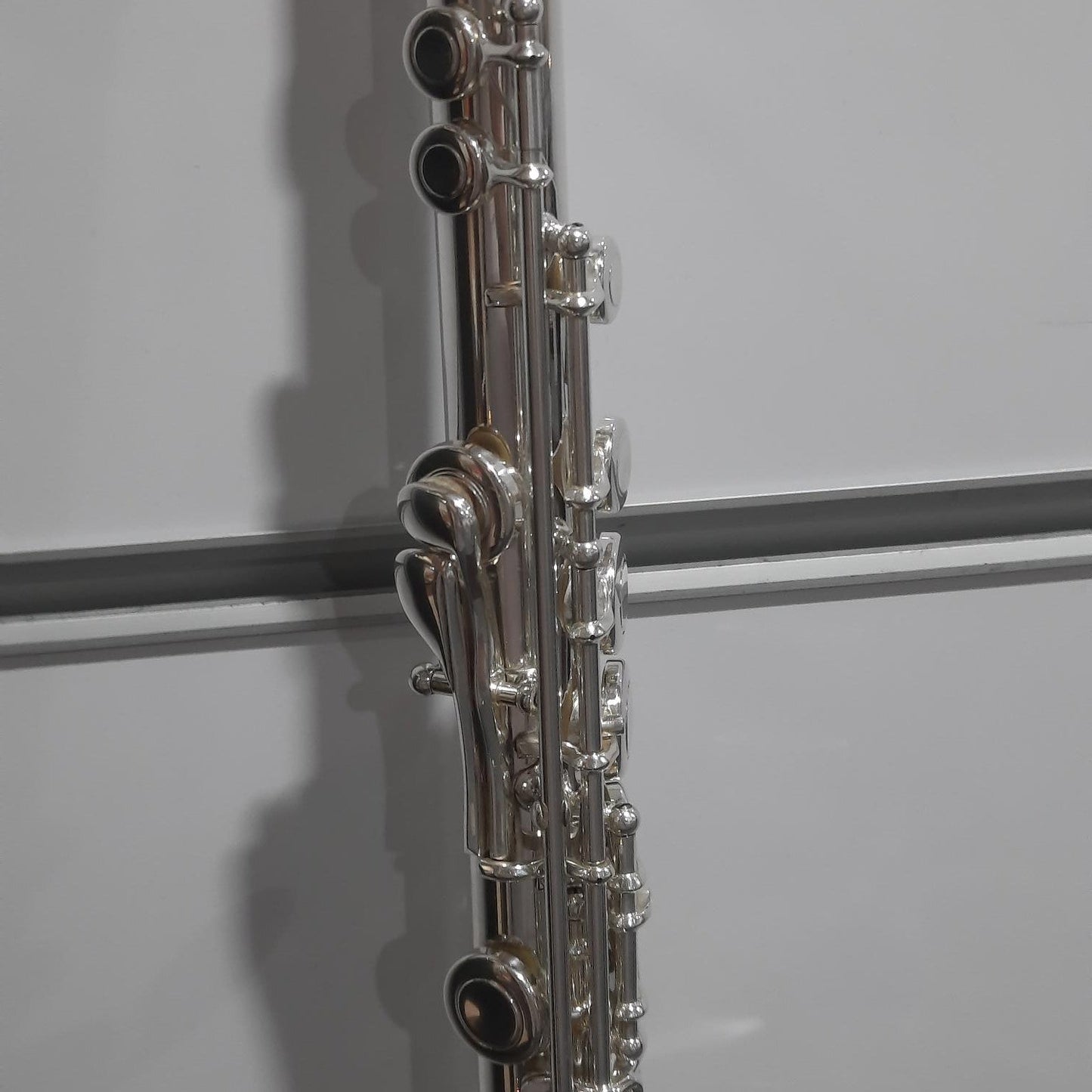 Trevor James 10X Flute