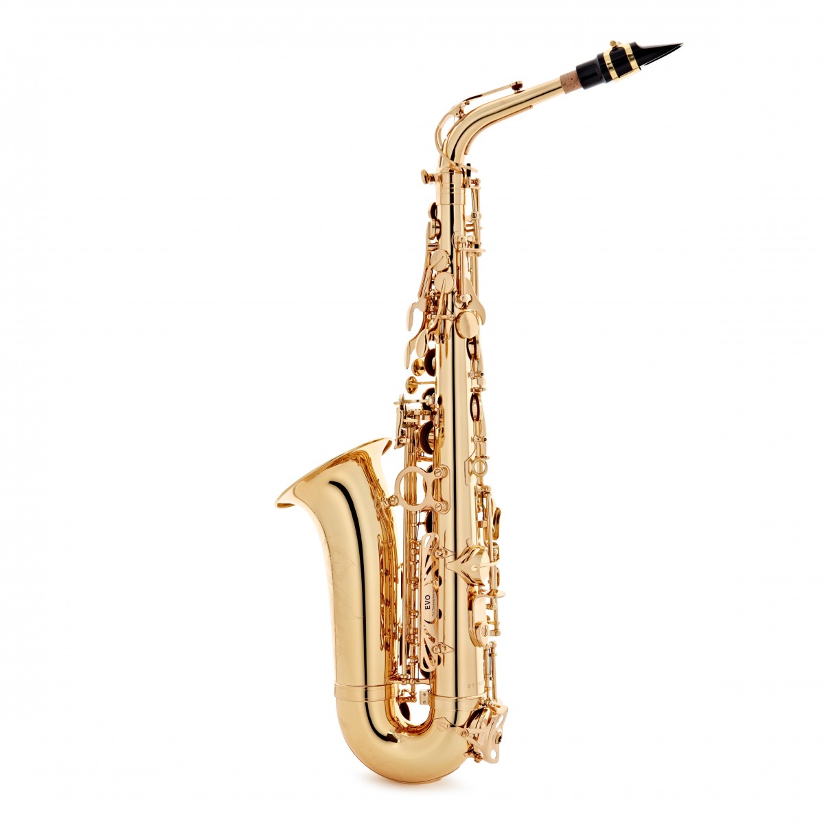 Trevor James Evo Alto Saxophone