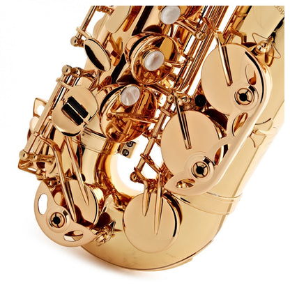 Trevor James Evo Alto Saxophone