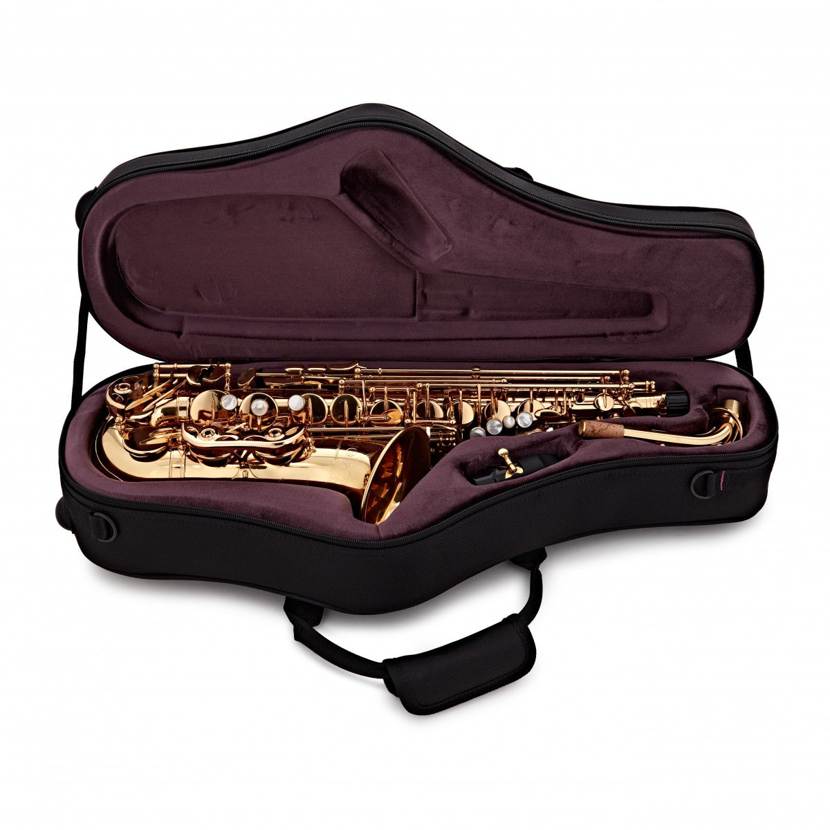 Trevor James Evo Alto Saxophone