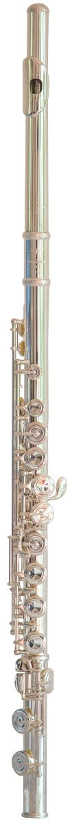 Trevor James 10XE Flute image 0