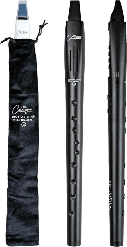 Carry On Digital Wind Instrument 2