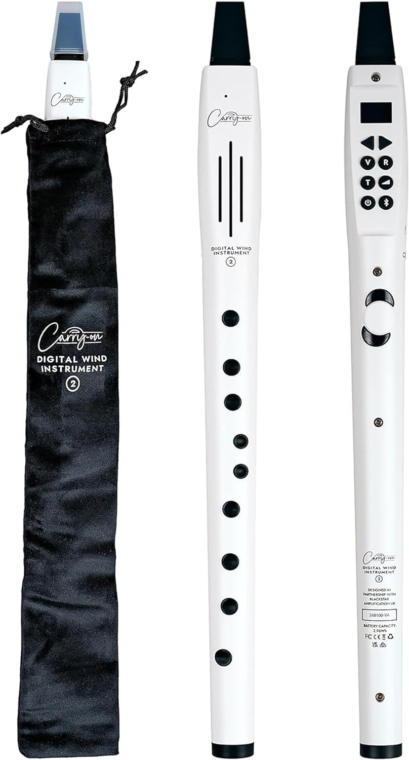 Carry On Digital Wind Instrument 2