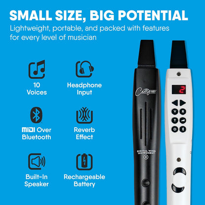 Carry On Digital Wind Instrument 2