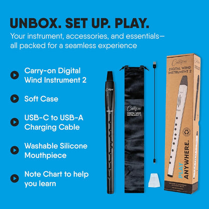 Carry On Digital Wind Instrument 2