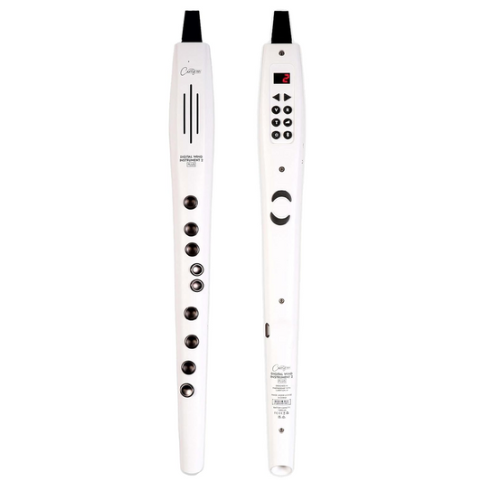 Carry On Digital Wind Instrument 2 PLUS