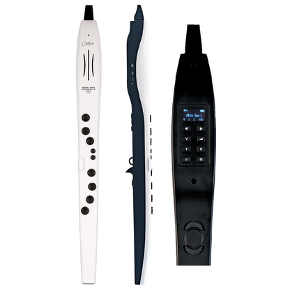 Carry On Digital Wind Instrument 2 PRO