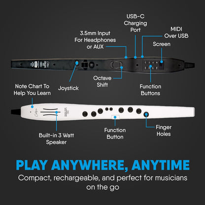 Carry On Digital Wind Instrument 2 PRO