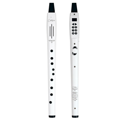 Carry On Digital Wind Instrument 2