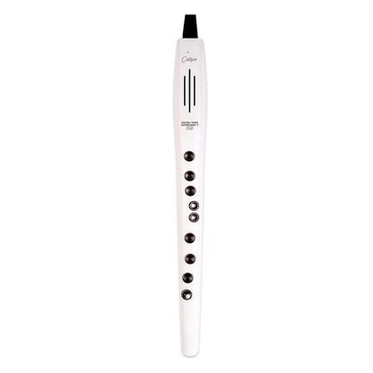 Carry On Digital Wind Instrument 2 PLUS