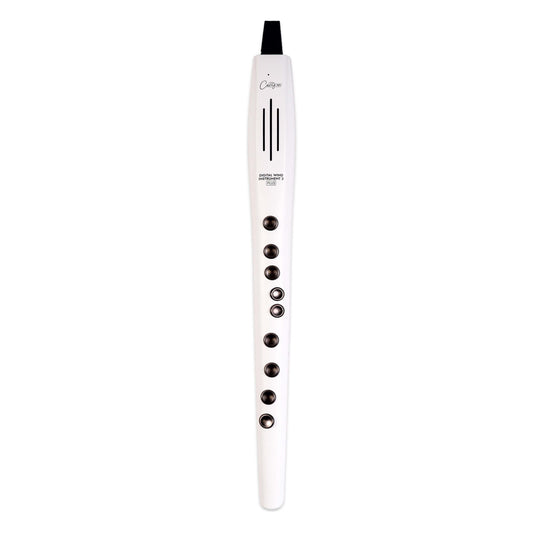 Carry On Digital Wind Instrument 2 PLUS