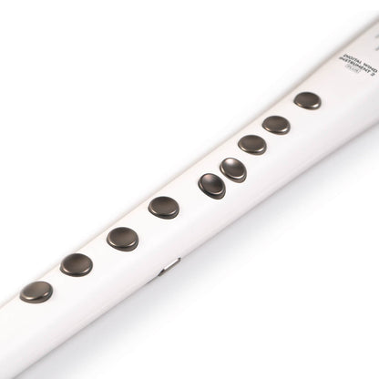 Carry On Digital Wind Instrument 2 PLUS