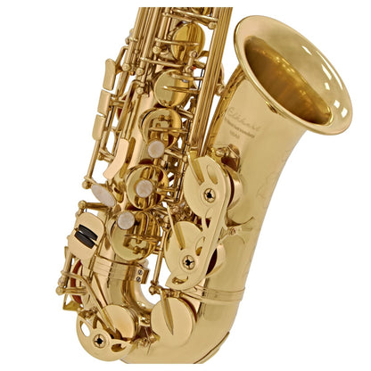 Elkhart 100AS Alto Saxophone *GRADE II*