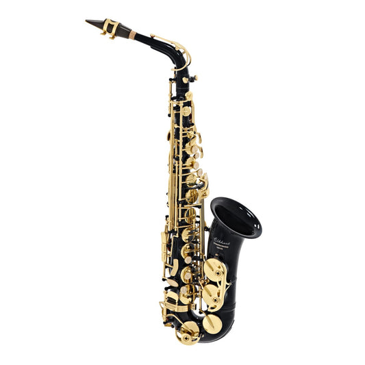 Elkhart 100AS Alto Saxophone Black *GRADE II*
