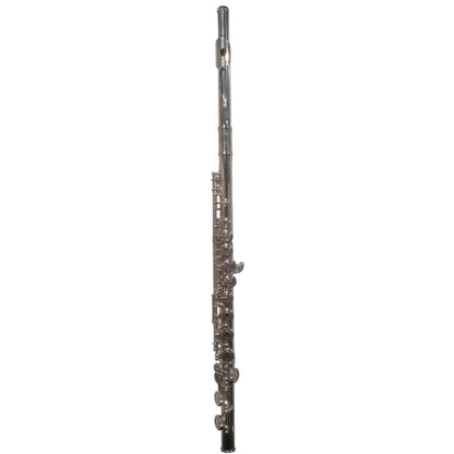 Silver flute against a light gray background