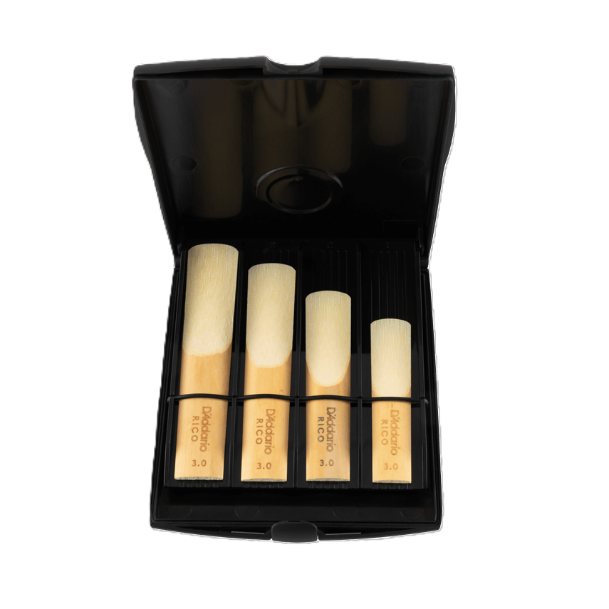 D'Addario Multi Reed Storage Case